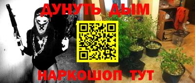 индика Аргун