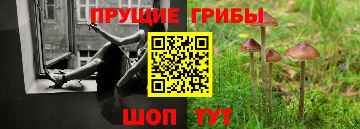 Галлюциногенные грибы прущие грибы  Вход с VPN  наркотики  Дмитров  Галлюциногенные грибы MAGIC MUSHROOMS 